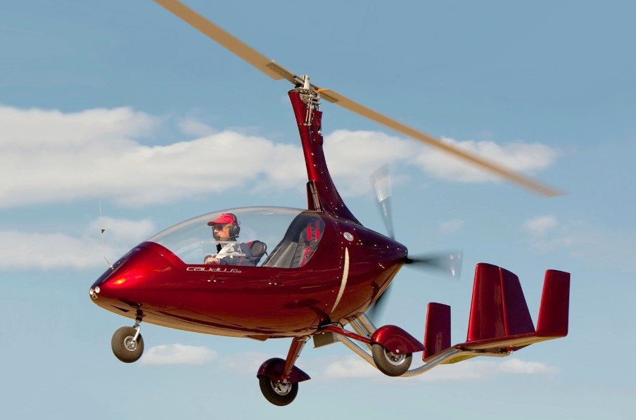AutoGyro Calidus